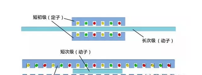 [直線電機(jī)的分類]有哪些類型的直線電機(jī)？其結(jié)構(gòu)如何？